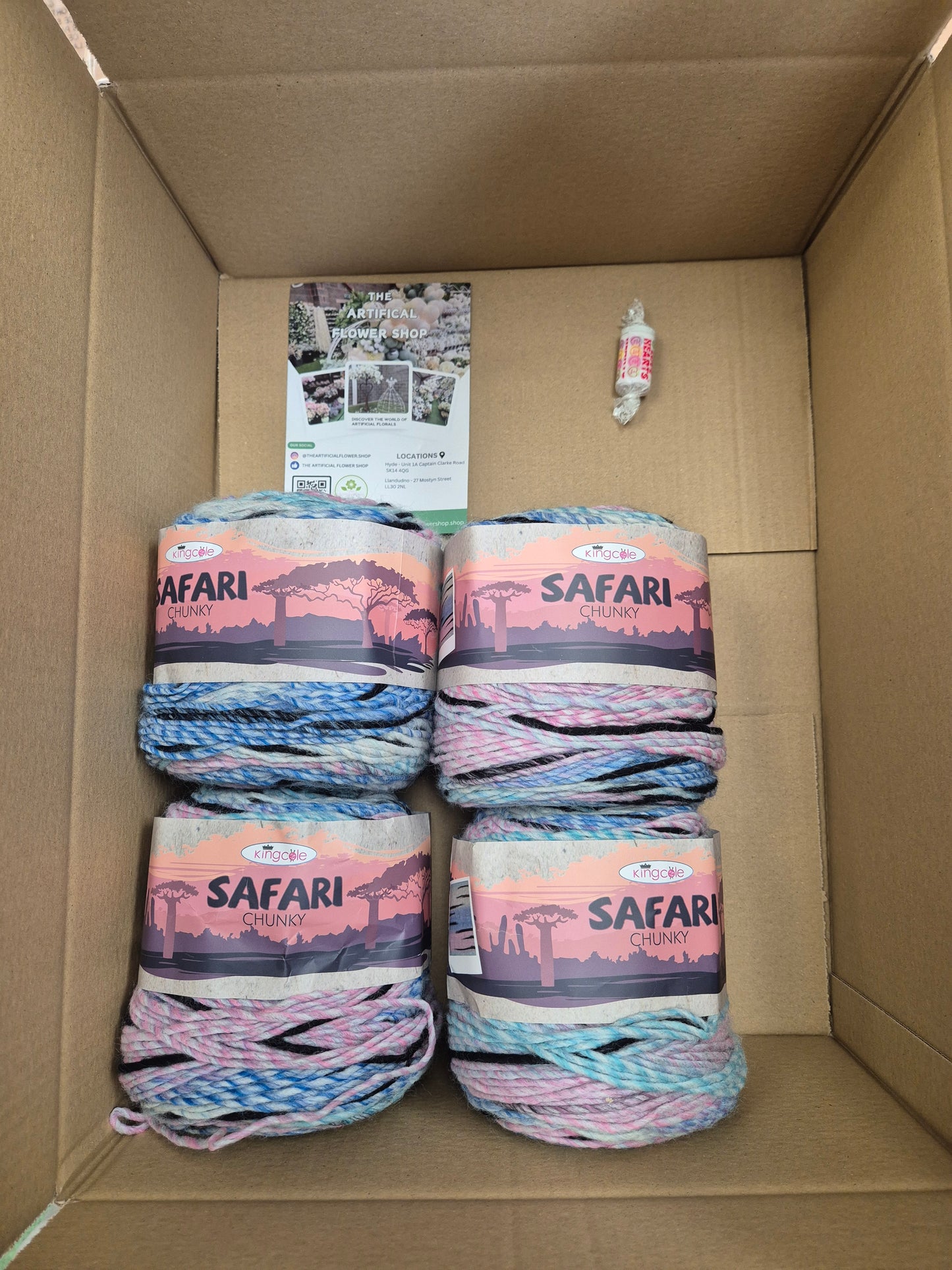 King Cole Safari Bundle