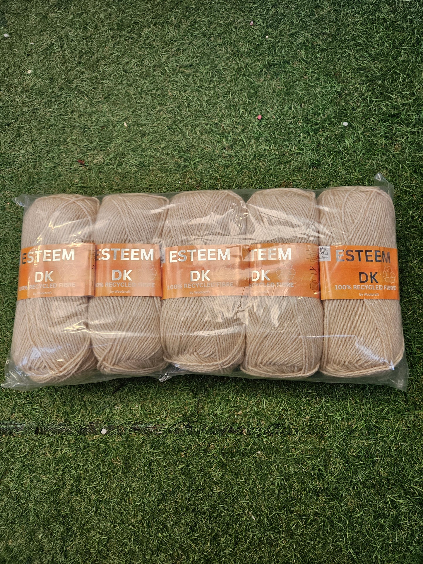 5x Esteem DK Wool 100g, Shade 12 Beige