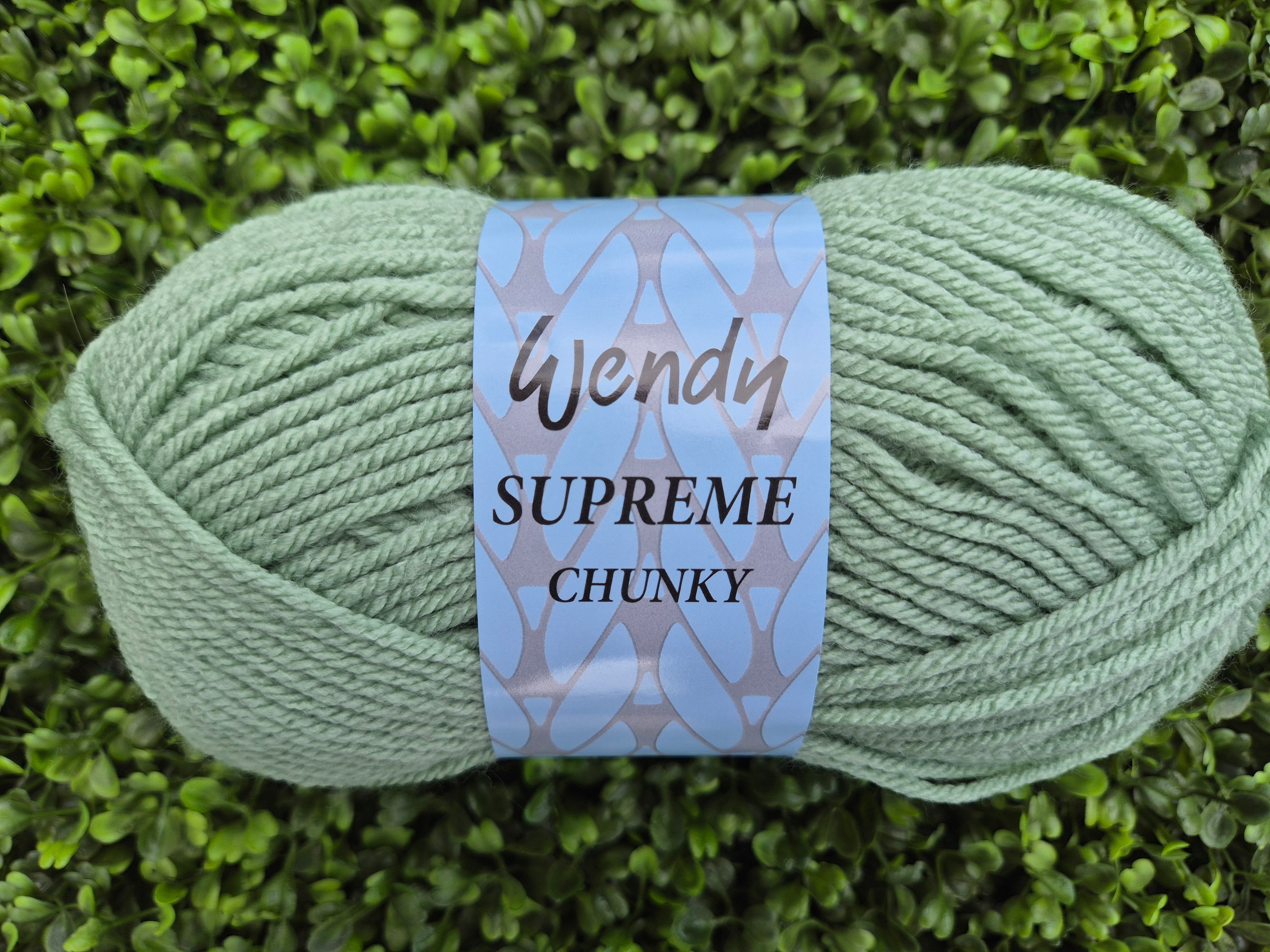 Wendy Supreme Chunky - Aloe SK61