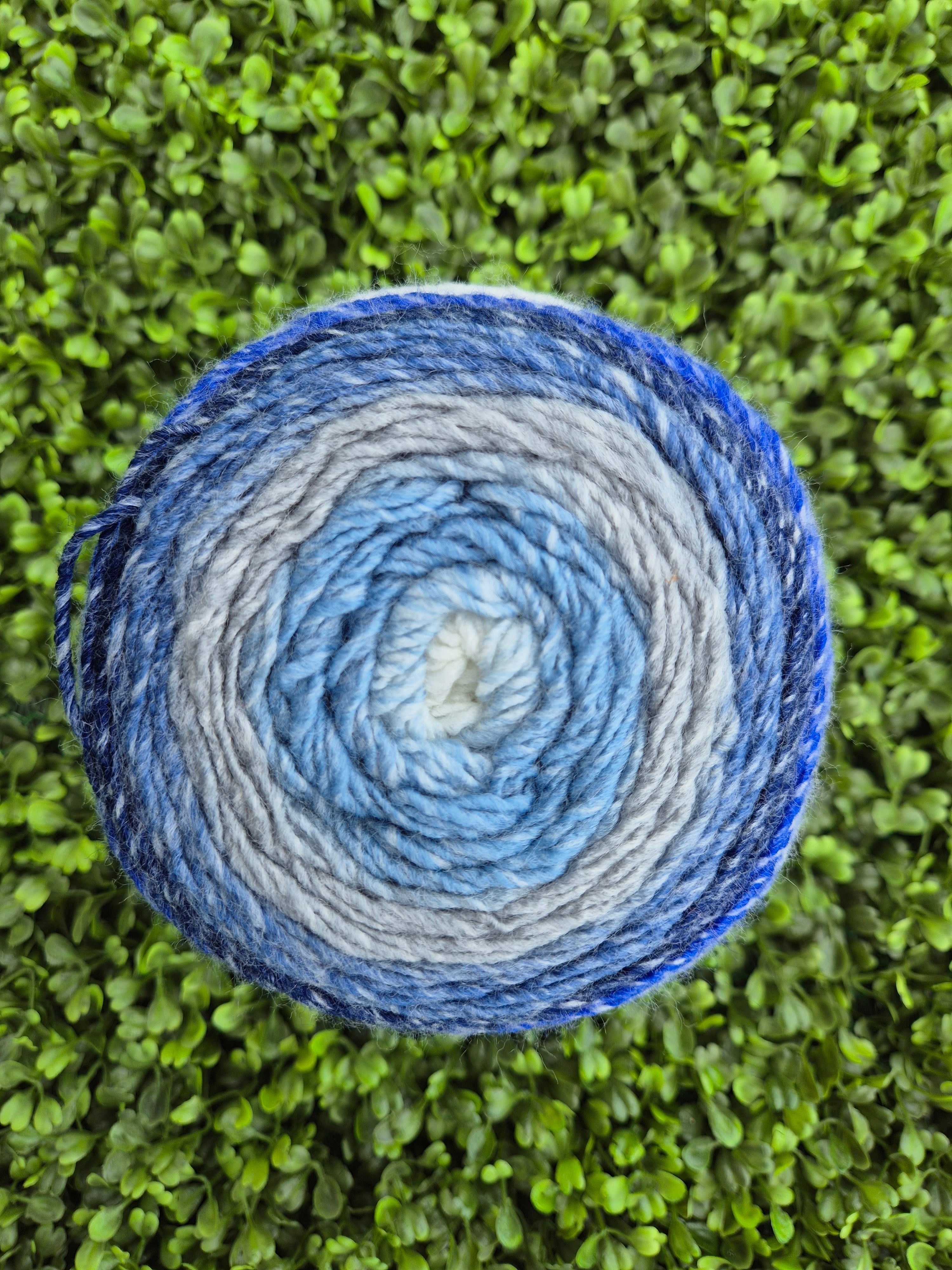 King Cole Curiosity - Ocean 2893