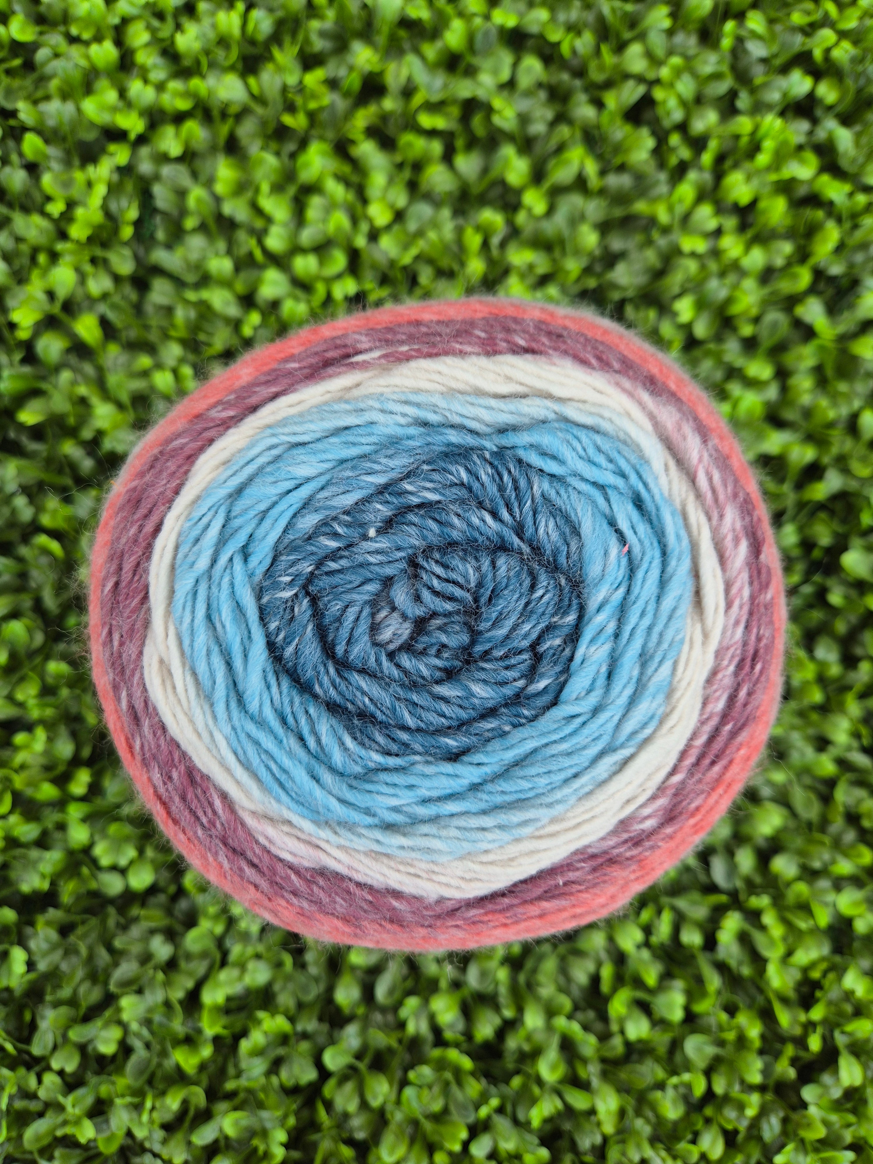 King Cole Curiosity - Sunset 2894