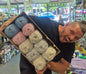 Woolcraft New Fashion Double Knit Selection Box (Tweed) - DELIVERY INCLUDED!