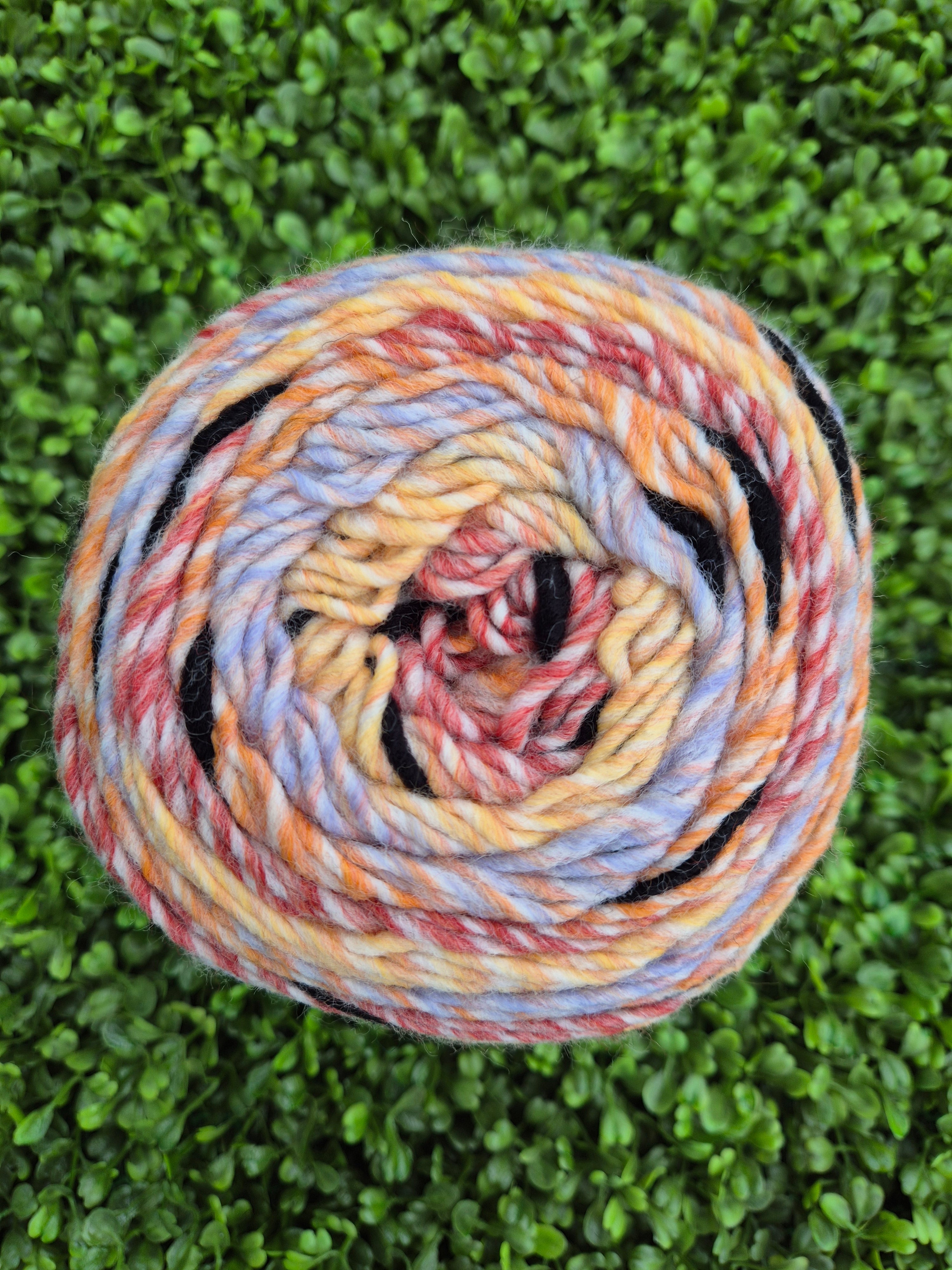 King Cole Safari - Sunset 646058