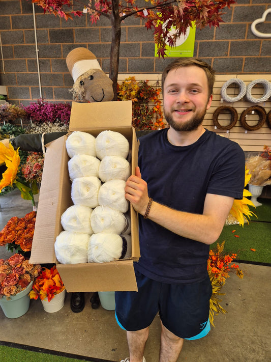 Woolcraft New Fashion Double Knit Selection Box (Wonderful White) - DELIVERY INCLUDED!